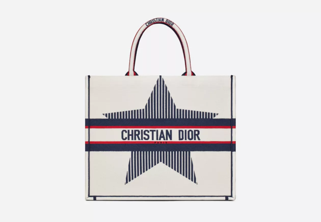 LARGE DIORALPS DIOR BOOK TOTE 5
