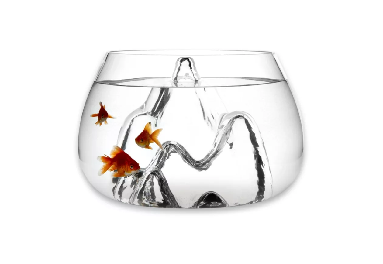 Fishscape Fishbowl by Aruliden for Gaia and Gino 1