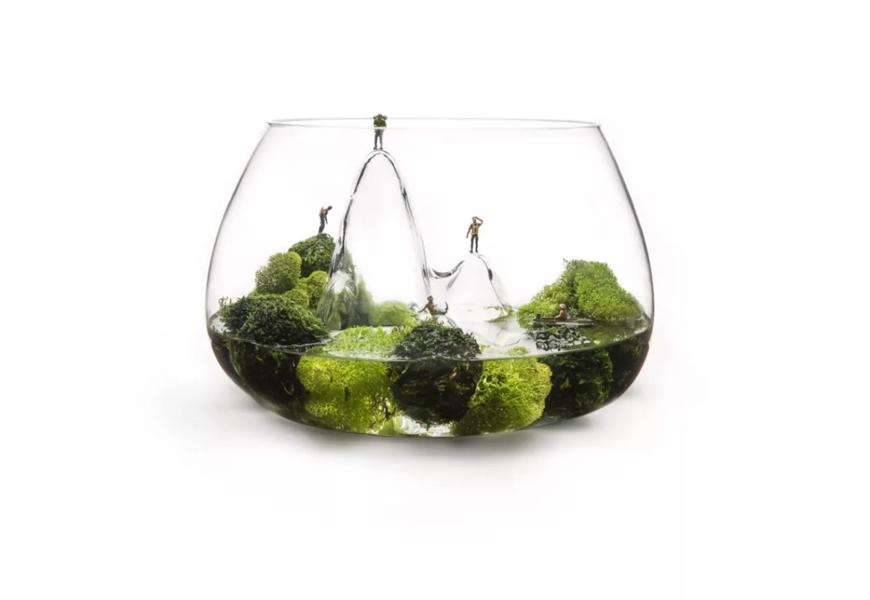 Fishscape Fishbowl by Aruliden for Gaia and Gino 3