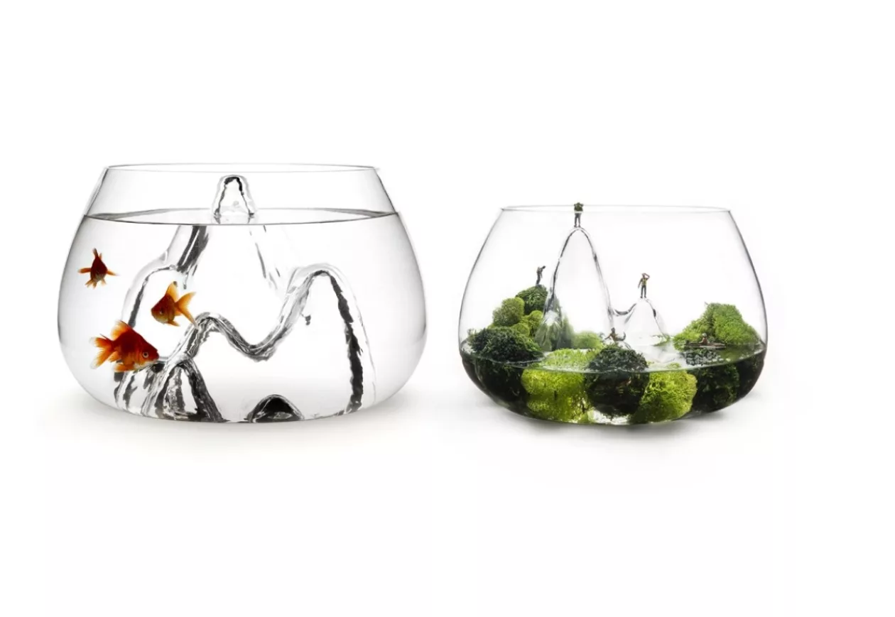 Fishscape Fishbowl by Aruliden for Gaia and Gino 5