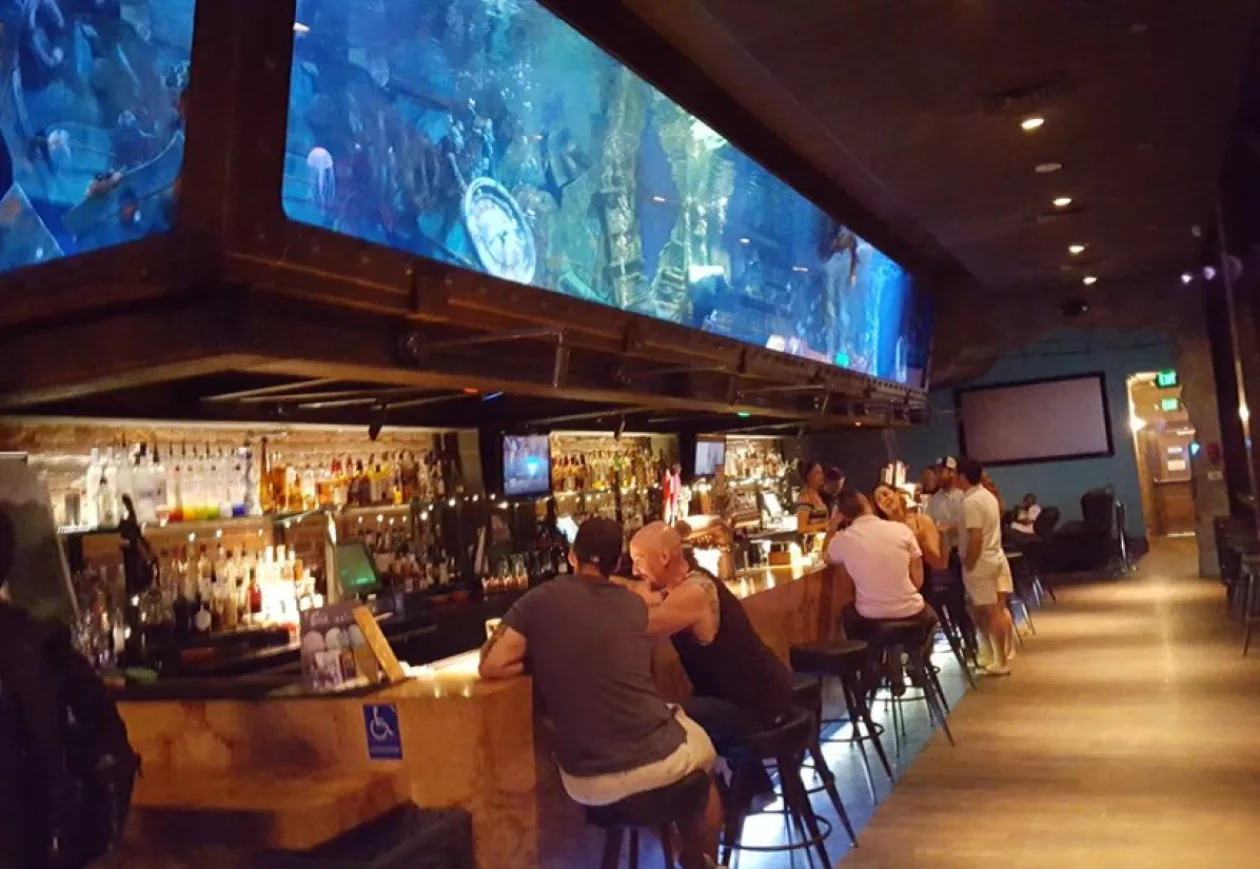 Dive Bar Where the Mermaids Come to Play 5