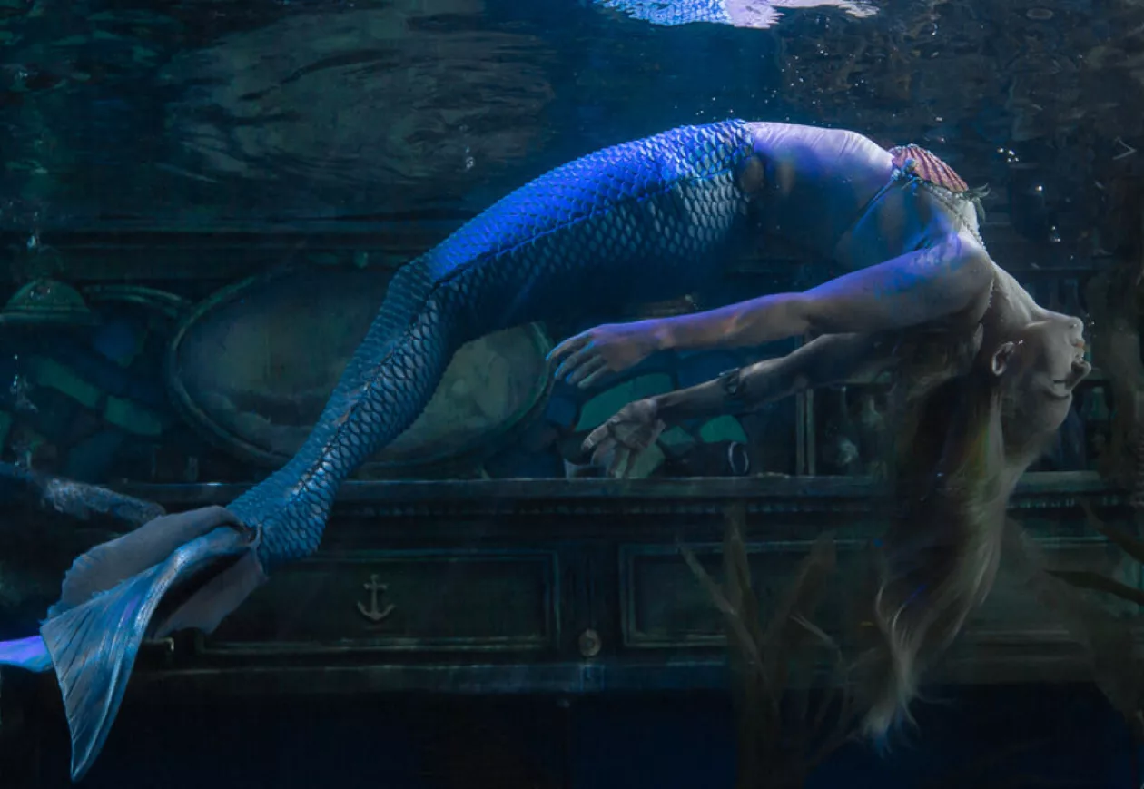 Dive Bar Where the Mermaids Come to Play 7