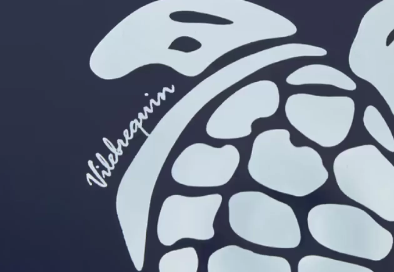 Vilebrequin Logo Print Frisbee 21