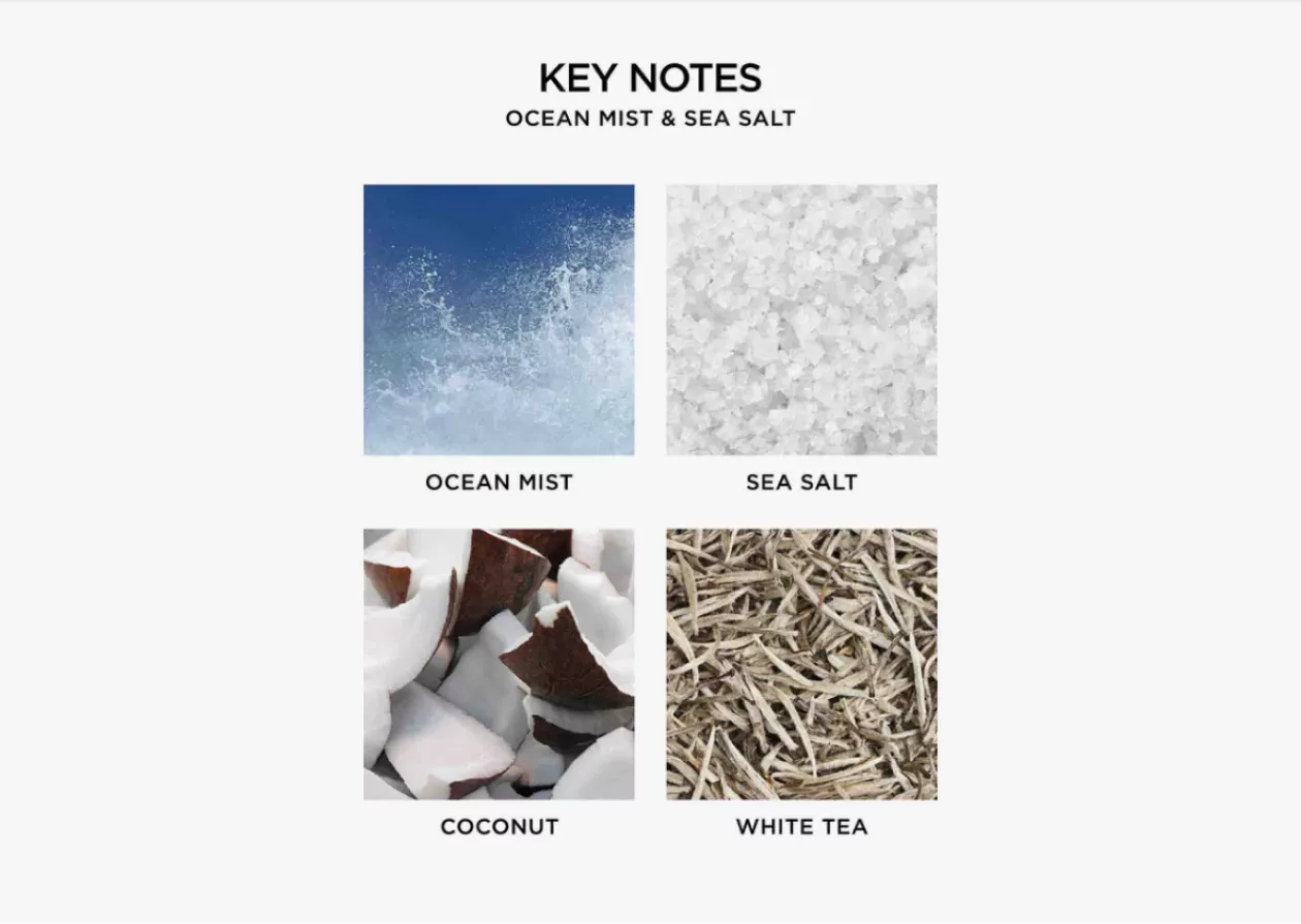 Ocean Mist Sea Salt Liquid Soap by NEST New York 4