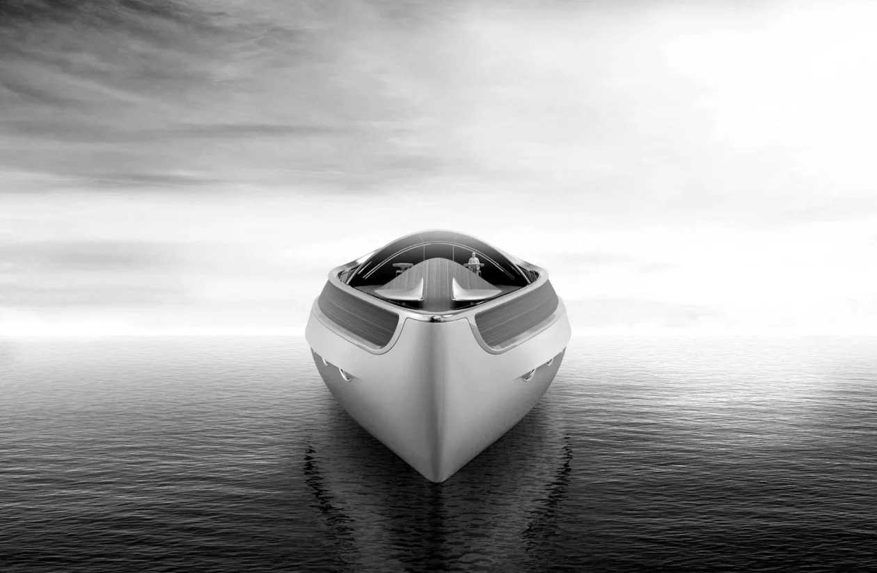 Dunehybrid01