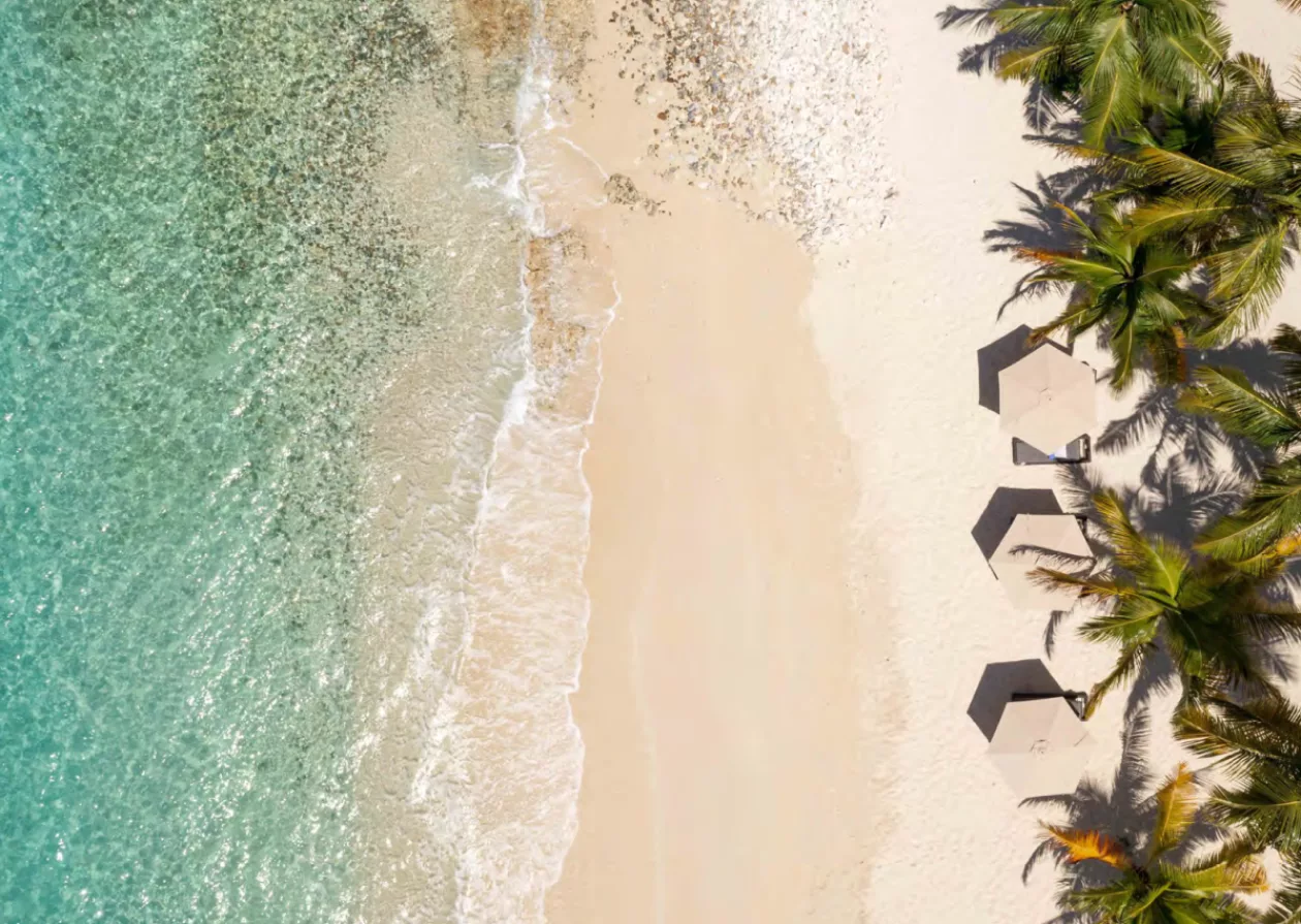 Moskito Island Your Exclusive Caribbean Escape 4