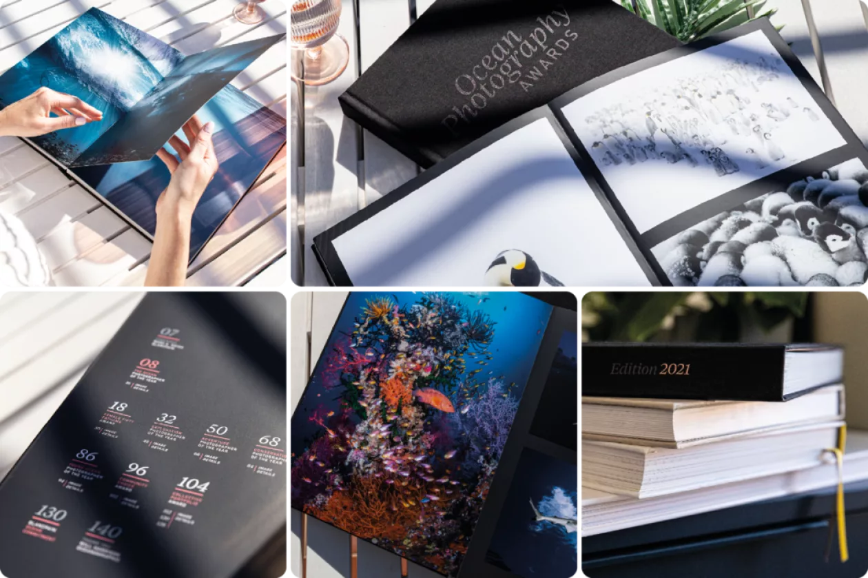 Keep The Ocean Nearby With The Ocean Photography Awards Coffee Table Book 2