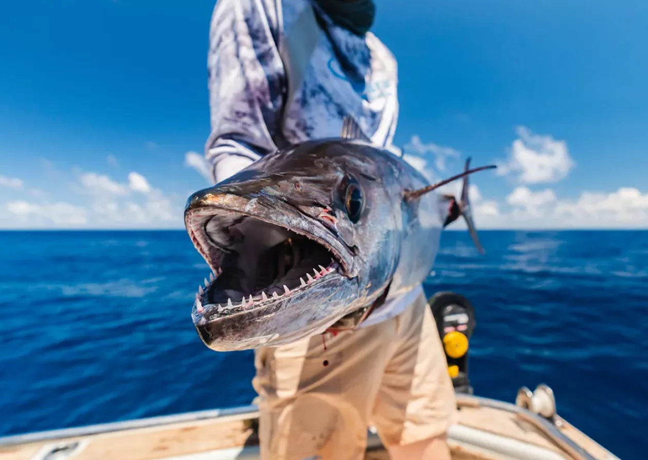 Fish Around The World With Captain Experiences 3