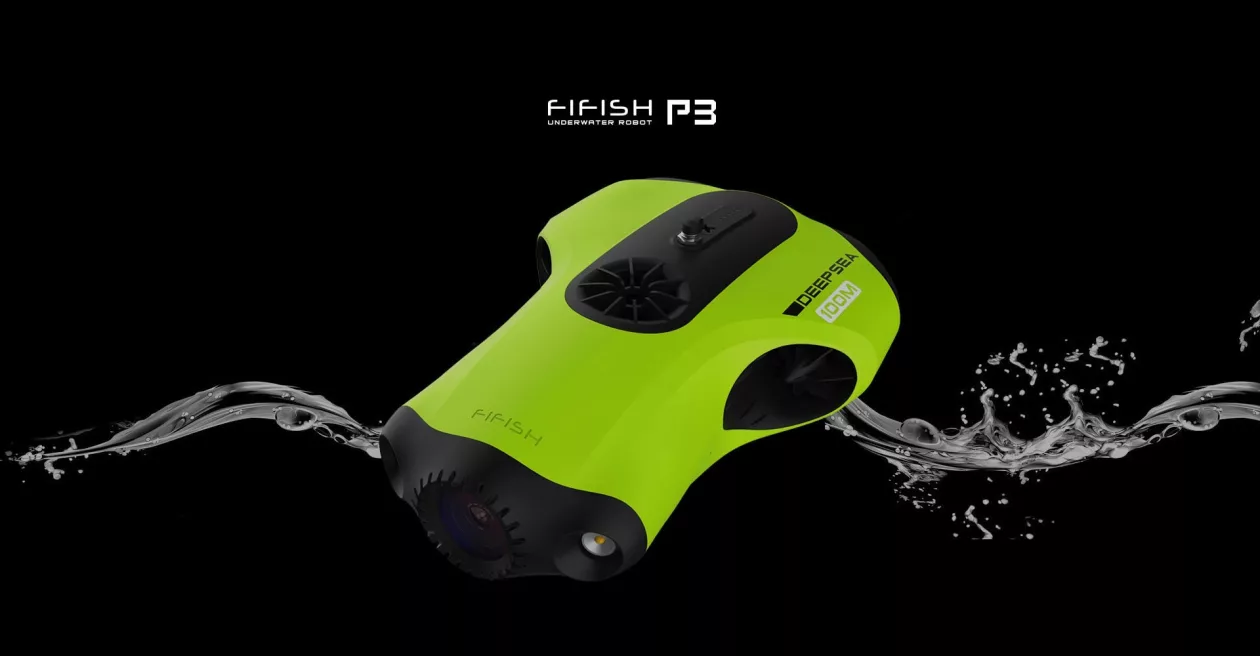Fish p3 01