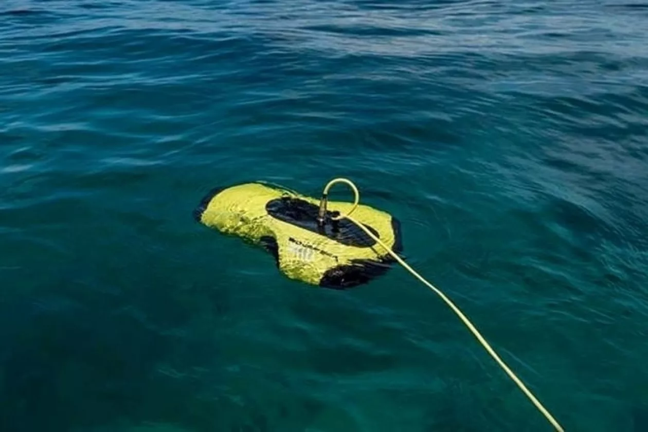 Fish p3 04