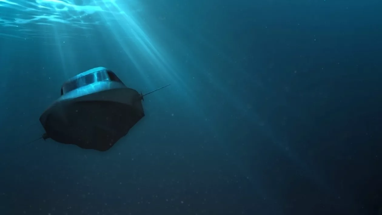Subsea craft victa 5