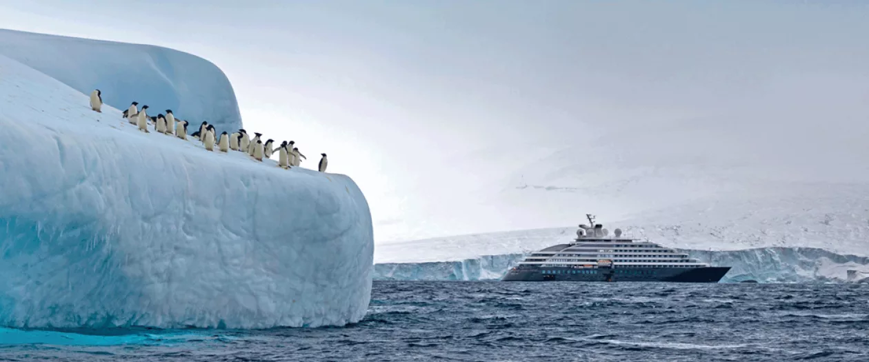 Scenic yacht05