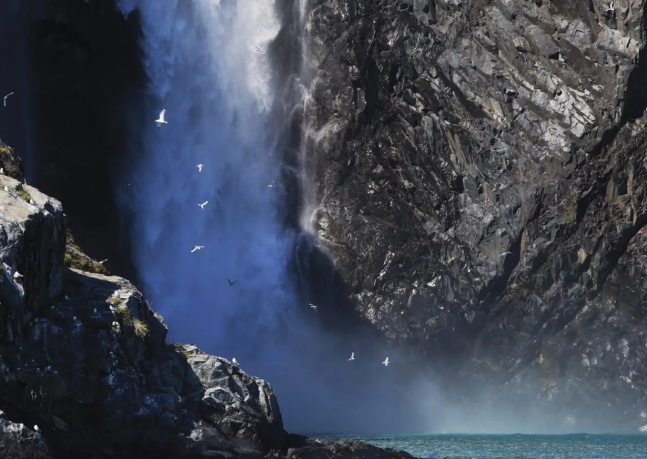 The Arctic Horizon A Journey to Discover the Beauty of the Arctic 1
