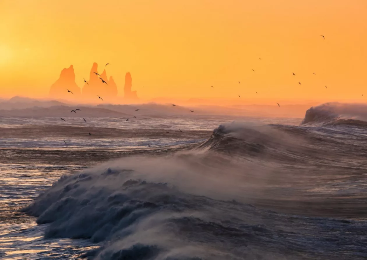 The Arctic Horizon A Journey to Discover the Beauty of the Arctic 2