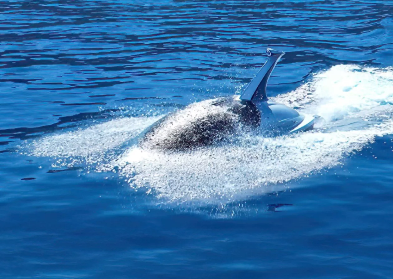 Discover a New Level of Luxury with The Jet Shark 3