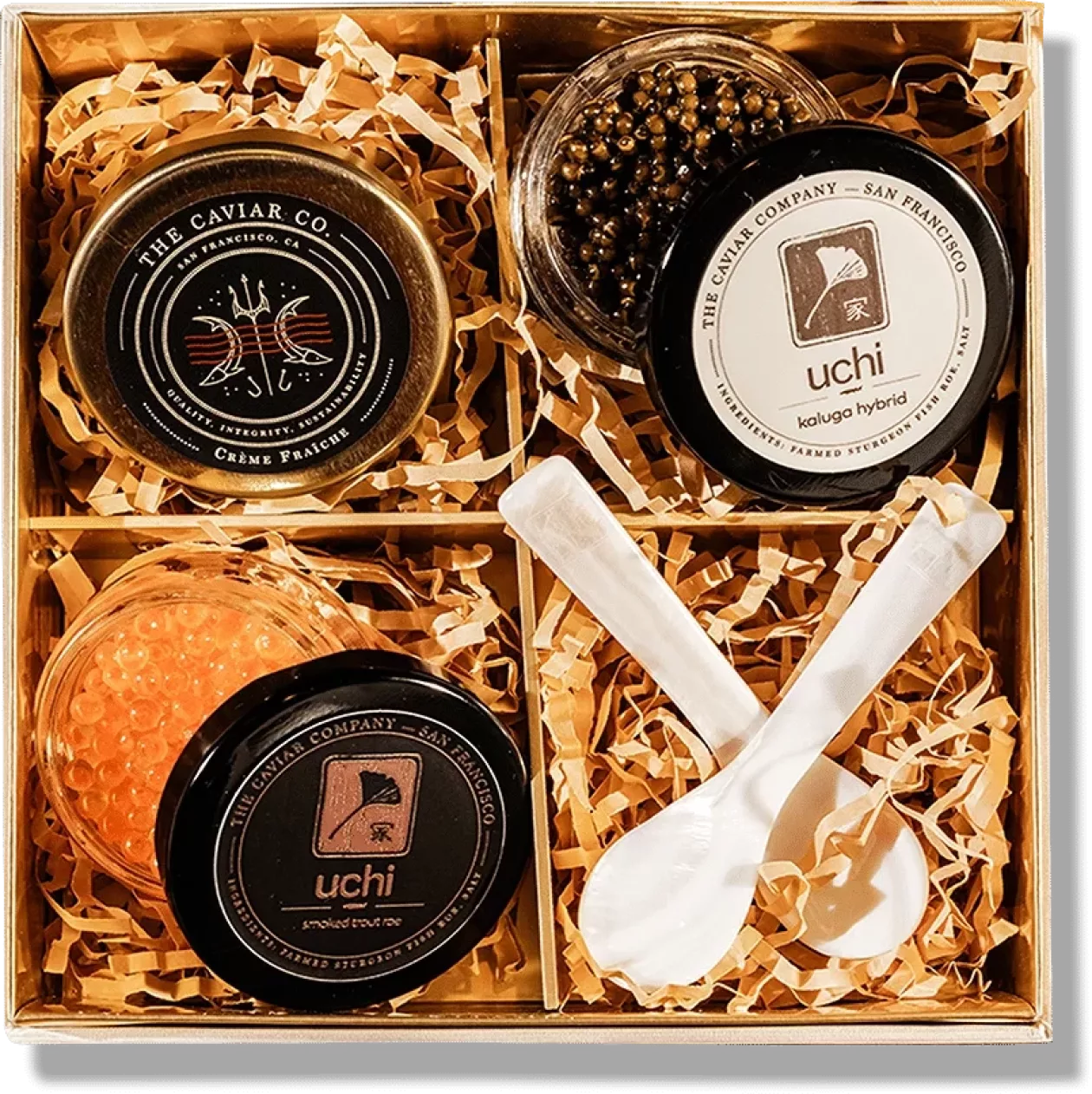 A Culinary Treasure from the Sea Uchikos Sushi Box 04