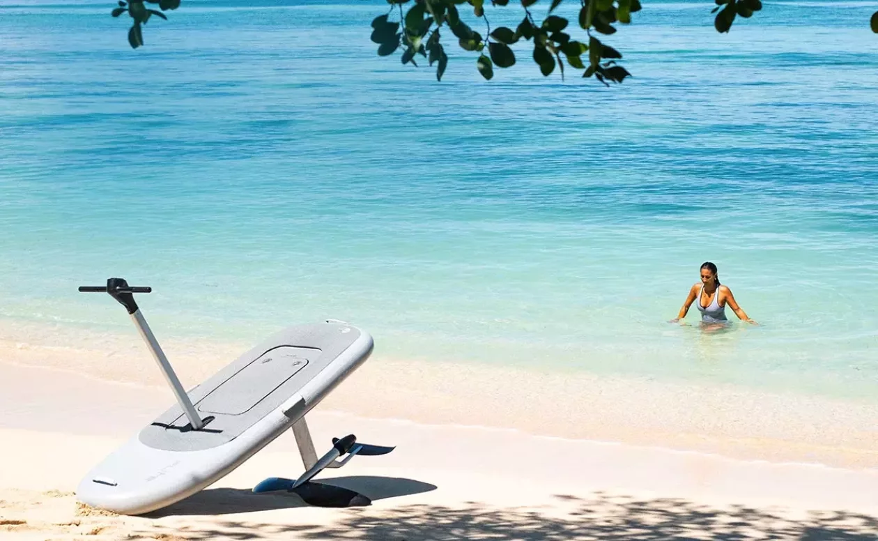 Embark on the Future of Aquatic Adventure with the Flitescooter