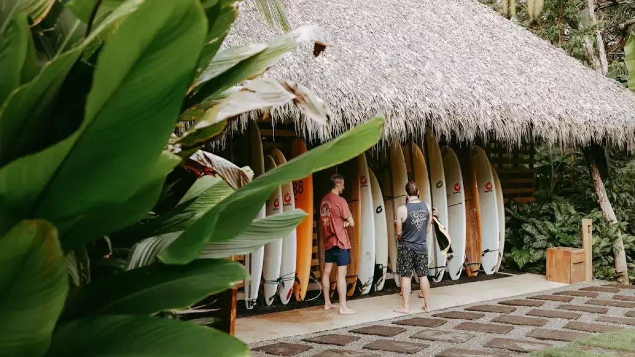 Ride Learn Thrive The Surf Simply Experience Unveiled 9