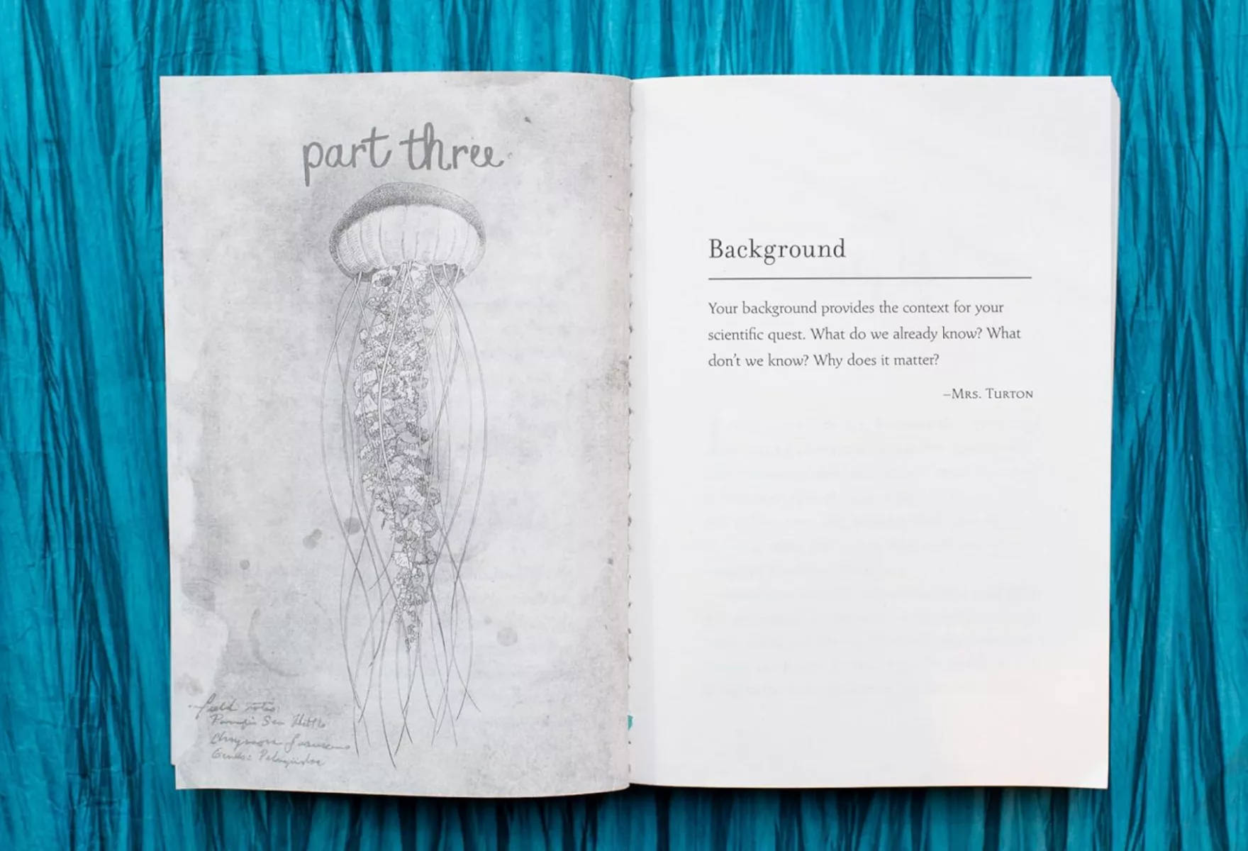 The thing about jellyfish 4