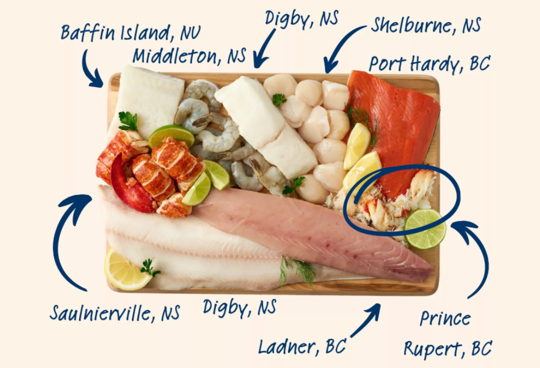 Larrys Catch Build Your Own Seafood Box Freshly Sourced Tailored to Taste 01