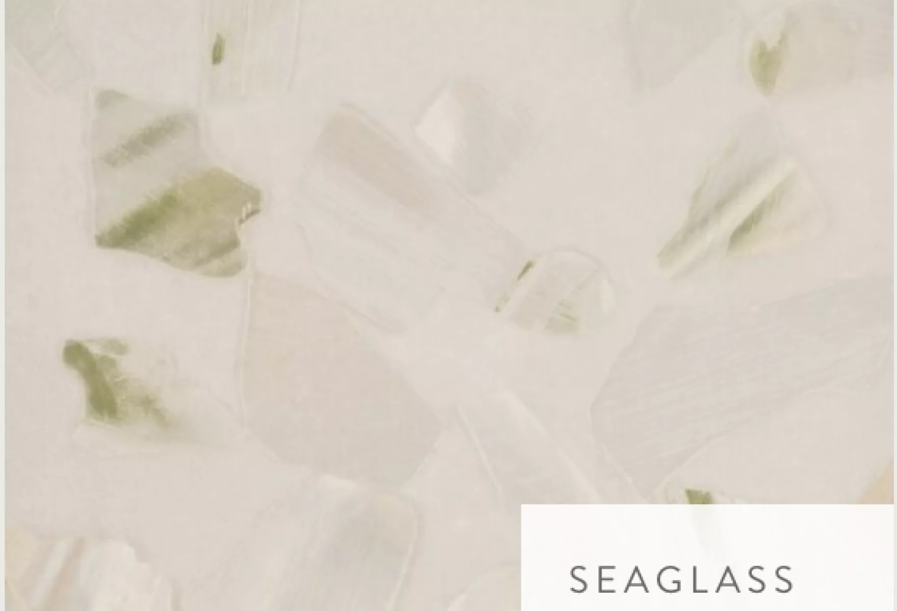 Calico Wallpaper Abalone Collection Whispered Seas Silken Shells 07
