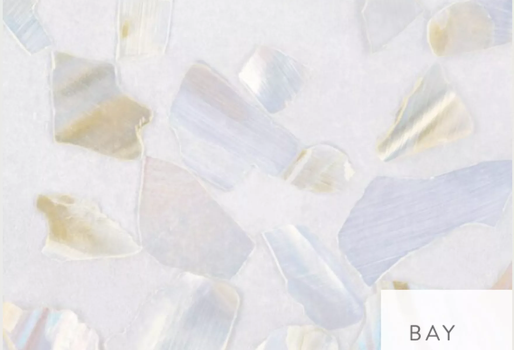 Calico Wallpaper Abalone Collection Whispered Seas Silken Shells 04