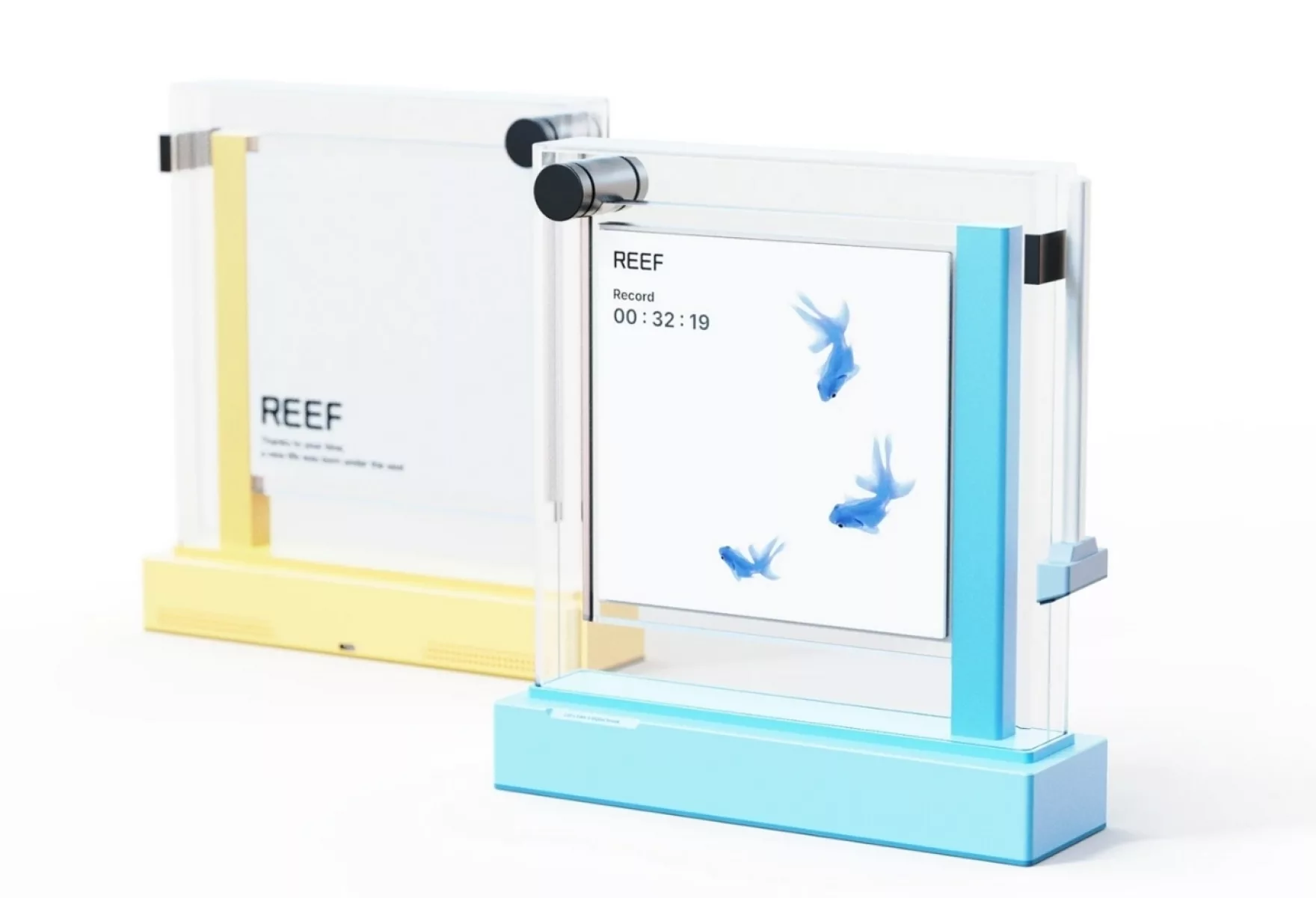 Reef A Digital Aquarium That Turns Screen Free Time into a Gentle Ritual