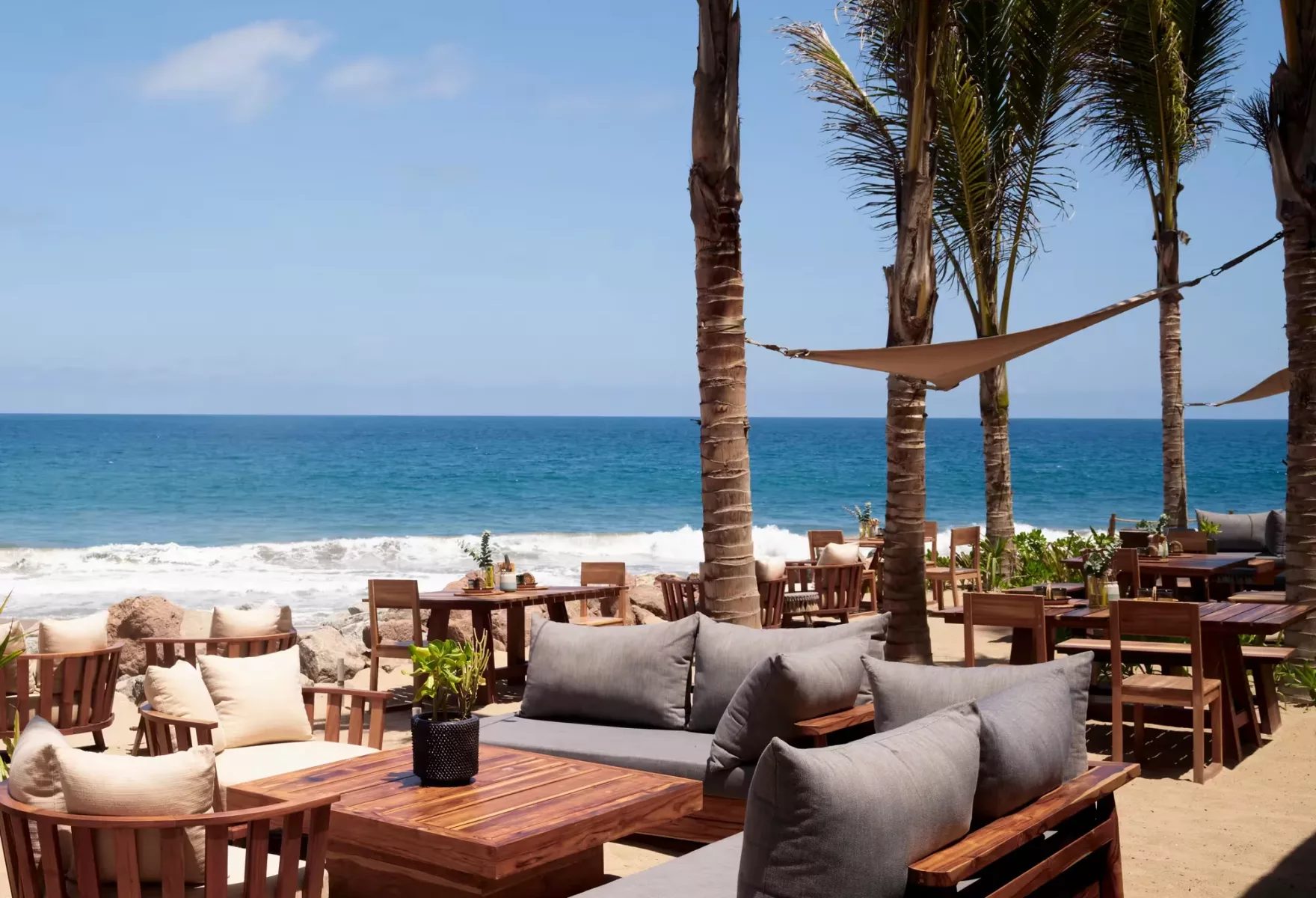 01 Rosewood Mandarina