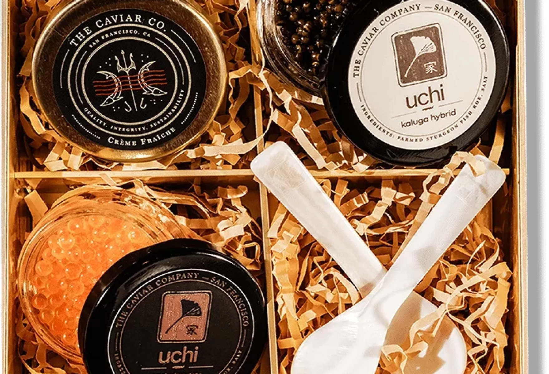 A Culinary Treasure from the Sea Uchikos Sushi Box 04