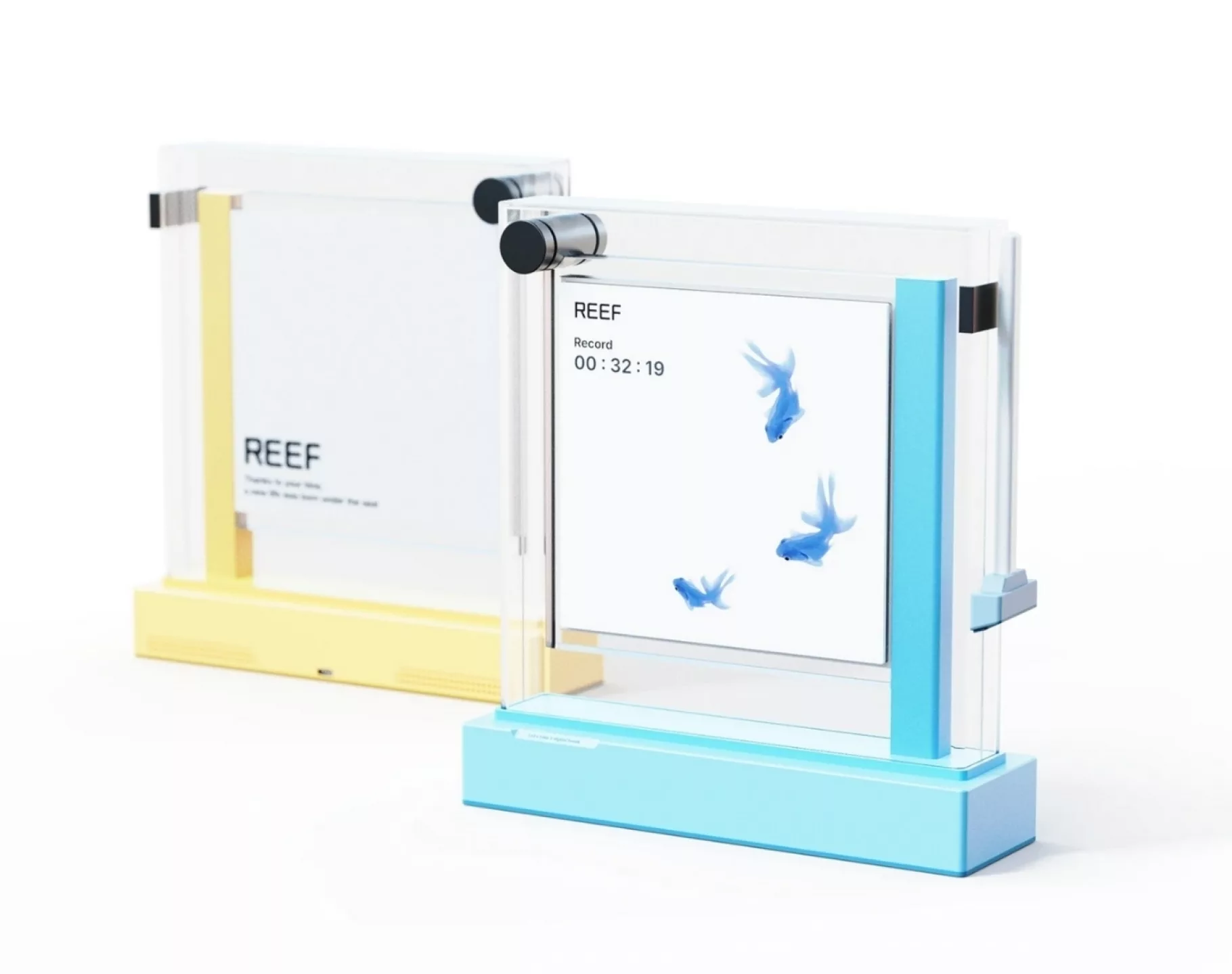 Reef A Digital Aquarium That Turns Screen Free Time into a Gentle Ritual
