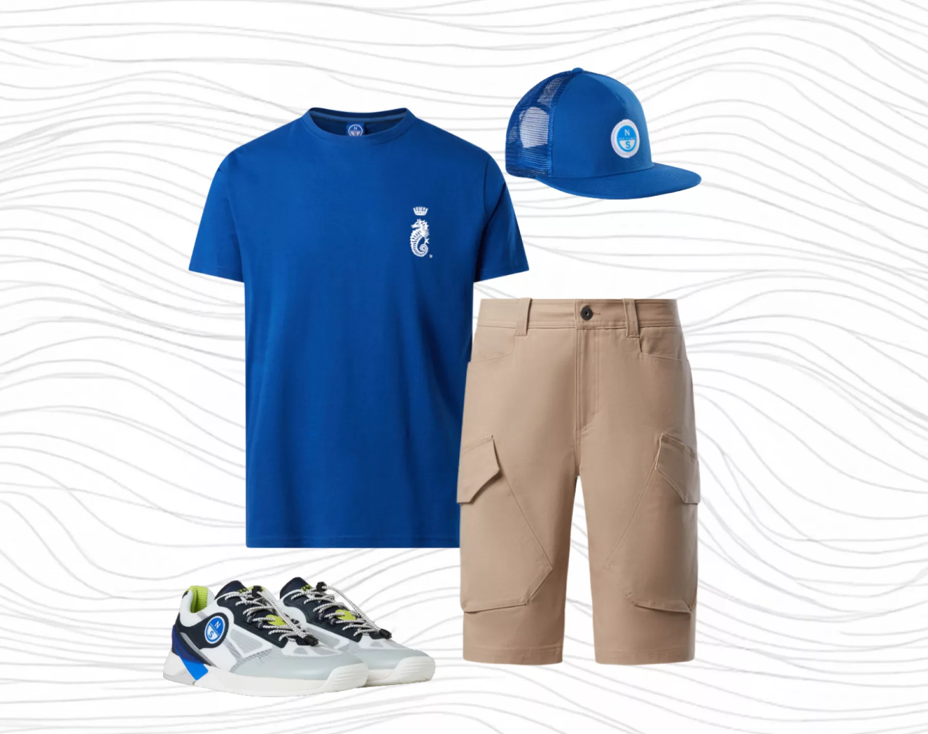 1 The Offshore Narrative