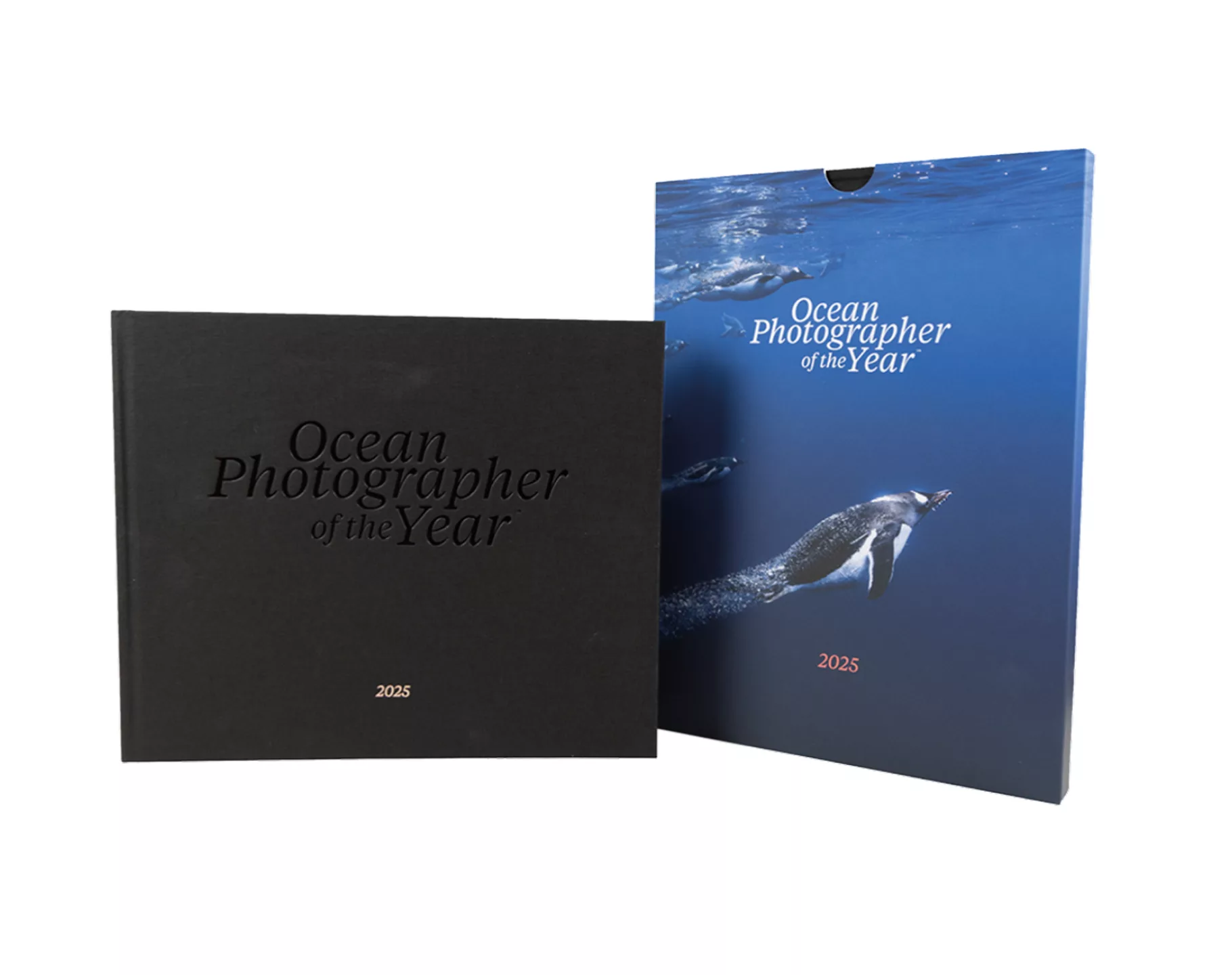 1 Ocean Photographer of the Year Edition 2025 Penguin Cover