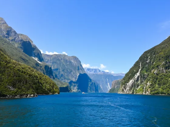 Worlds best places to kayak milford sound