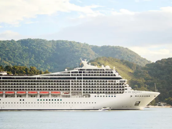 Msc magnifica design and atmosphere
