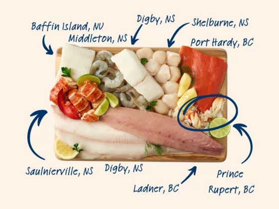 Larrys Catch Build Your Own Seafood Box Freshly Sourced Tailored to Taste 01