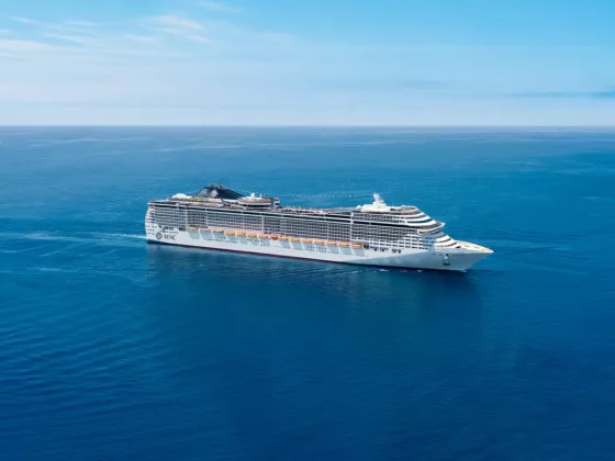 Msc divina key takeaways