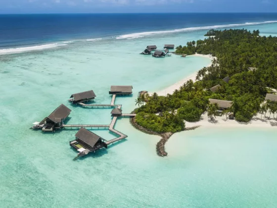 One and only reethi rah impressions