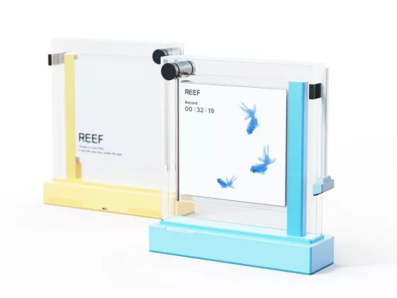Reef A Digital Aquarium That Turns Screen Free Time into a Gentle Ritual