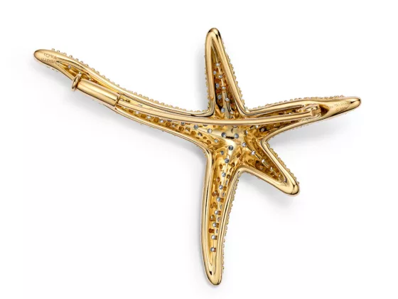 Starfish brooch where to buy