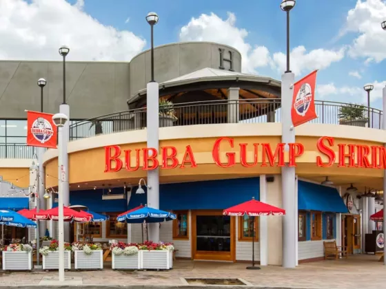 Seafood restaurants in orlando bubba gump shrimp co