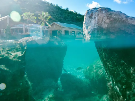 Island Freedom at Bitter End Yacht Club 08