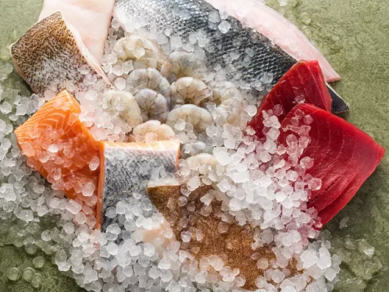 Fresh from the Coast The Sea The Sea Fish Boxes 08