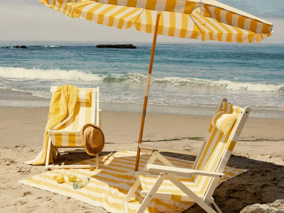 Business Pleasure Crew Mimosa Yellow Stripe Collection 03