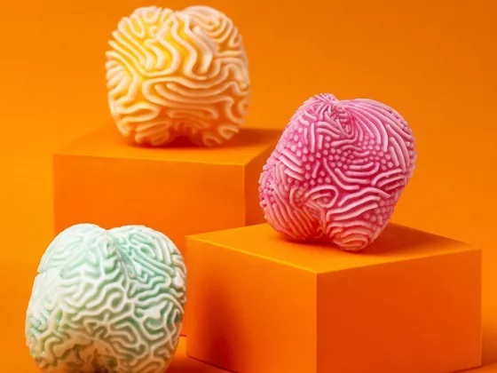 Microbi Design Coral Soaps Inspired by the Sea 01