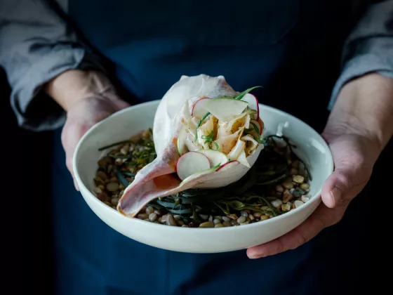 Woods Hill Pier 4 02