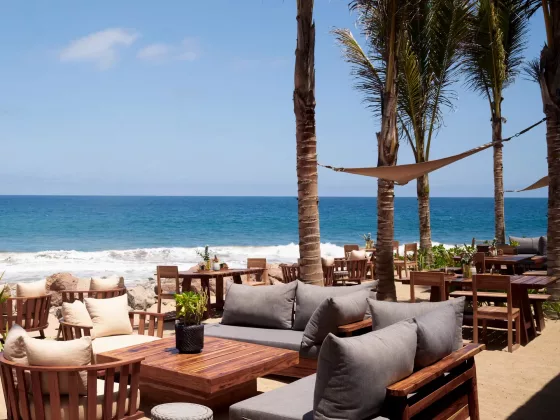 01 Rosewood Mandarina