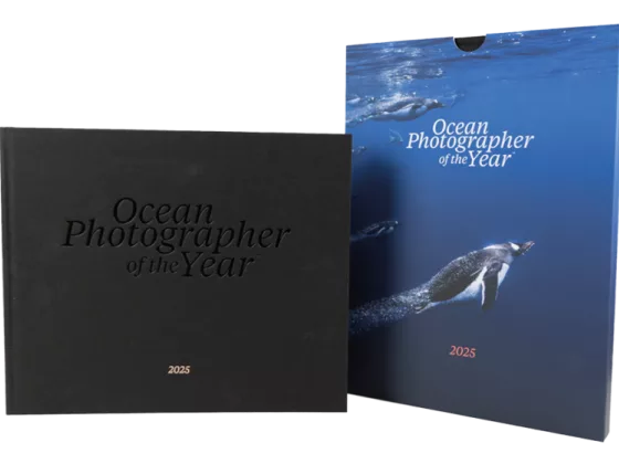 01 THE 2025 PENGUIN EDITION