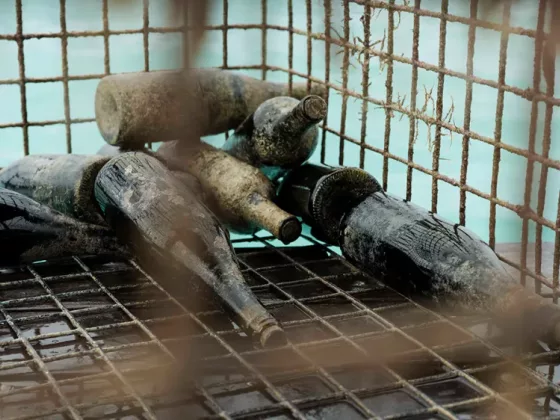 01 ROSEWOOD LITTLE DIX BAY THE WORLD S FIRST UNDERWATER WINE CELLAR