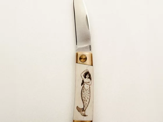 01 THE SCRIMSHAW HENRY A CANVAS FOR MARITIME ARTISTRY