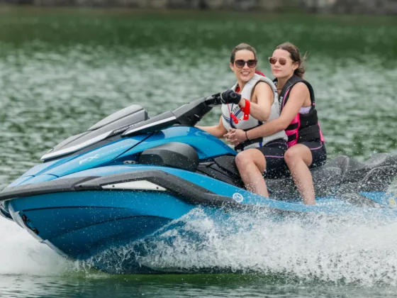 2026 fx cruiser svho right for you